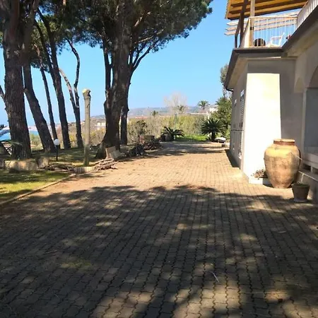 Elvira Hollywood Belvedere Marittimo