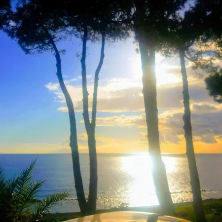 Bed & Breakfast Elvira Hollywood *