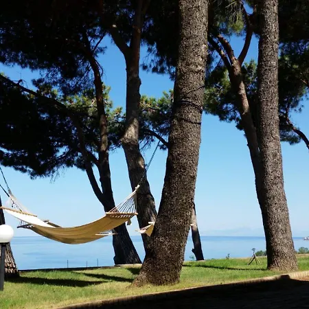 Elvira Hollywood Bed & Breakfast Belvedere Marittimo